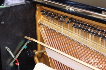 U3A